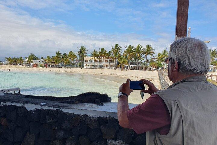 Excursión de un día a la isla Isabela con islote Tintorera, humedales y flamencos