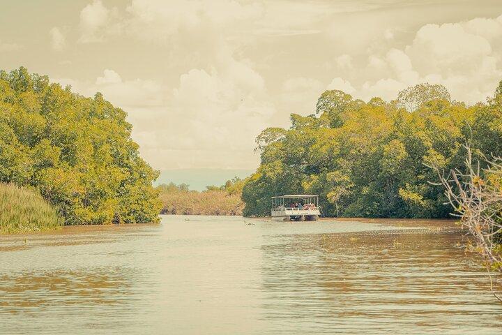 Appleton Estate, Black River Safari e YS Falls