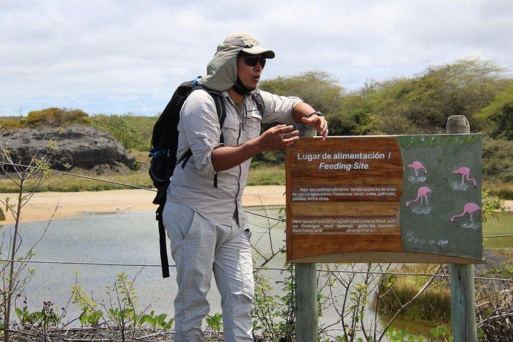 ティントレラ島、シュノーケリング湿地、フラミンゴのあるイザベラ島への日帰りツアー