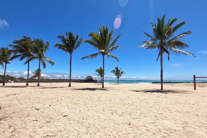 Excursión de un día a la isla Isabela con islote Tintorera, humedales y flamencos