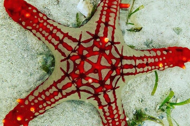 Starfish Adventure; The Rock Restaurant; Kuza Cave, Salaam Cave