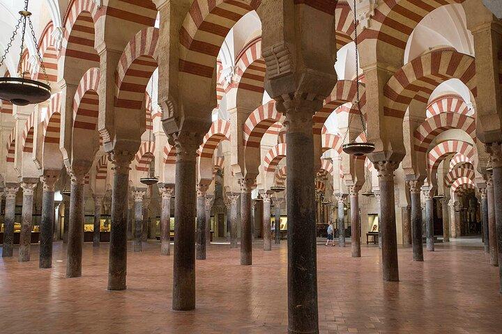 Visita guidata della Cattedrale di Cordova Salta la coda e il biglietto