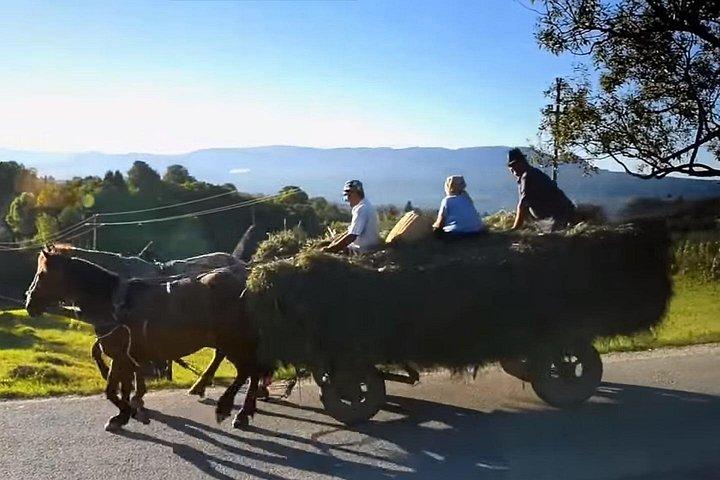 8 Days Private Romania Tour from Bucharest
