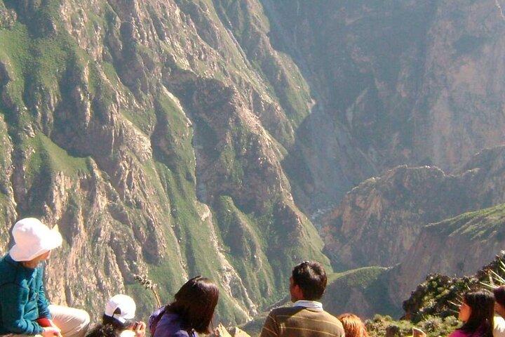 Excursion d'une journée au canyon de Colca au départ d'Arequipa