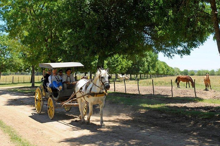 Excursion privée à San Antonio de Areco: village et Estancia