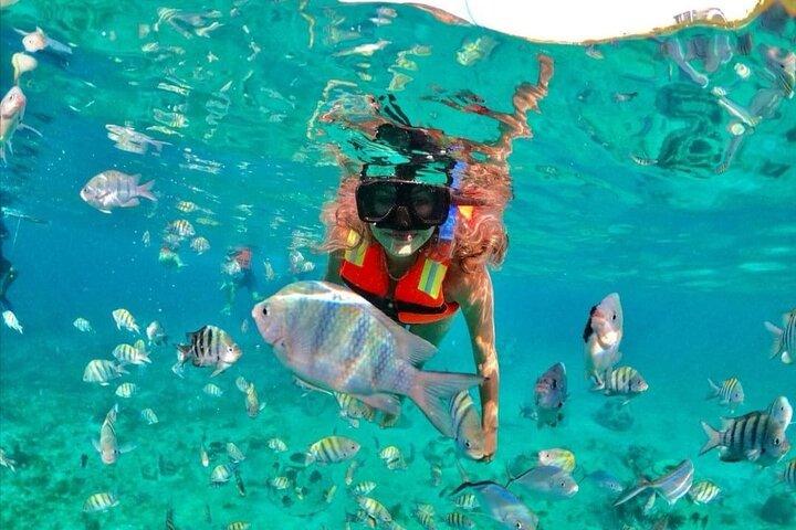 Snorkeling tour Express em Cancun com guia certificado