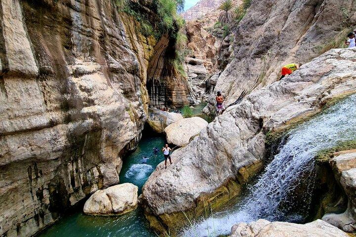Heldags privat Wadi Tiwi-eventyr