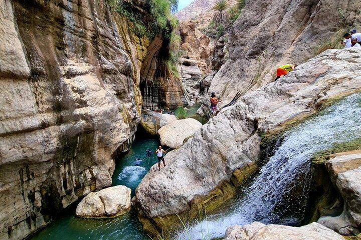 Heldags privat Wadi Tiwi-äventyr