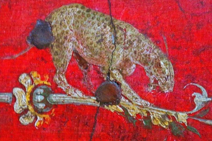 Private Tour with Official Guide through the wonders of Pompeii.