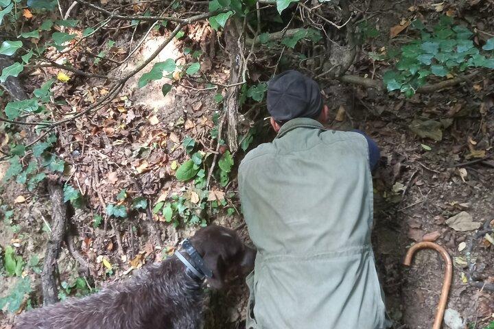Langhe Truffle hunting Experience