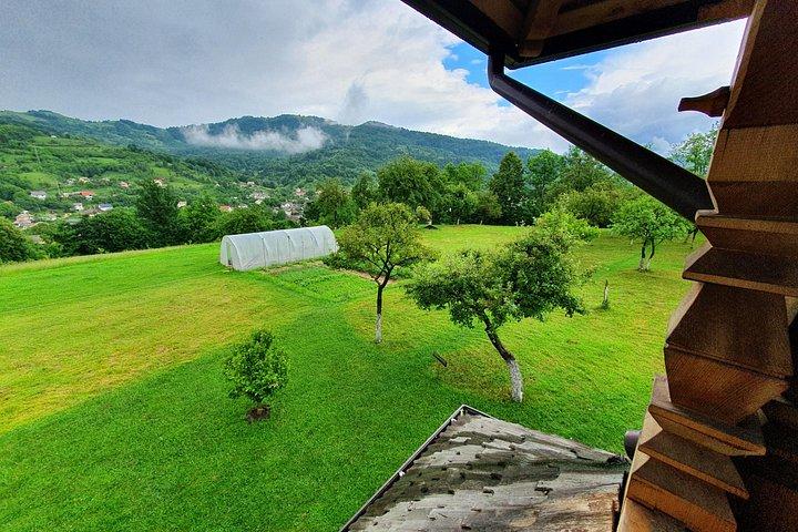 8 Day Guided Tour in Romania from Bucharest