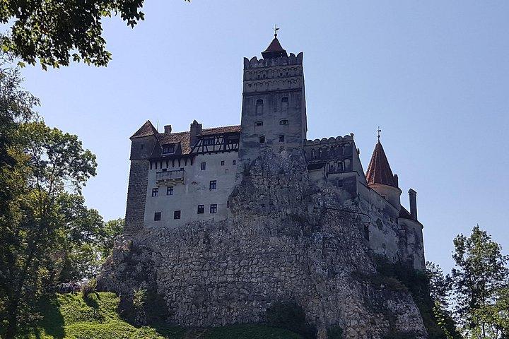 Bears Sanctuary、Dracula's Castle、Brasov Day Trip ブカレストからのプライベート ツアー