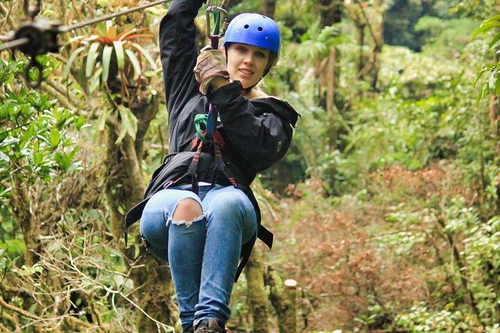 Canopy Zipline & Butterflies From Monteverde