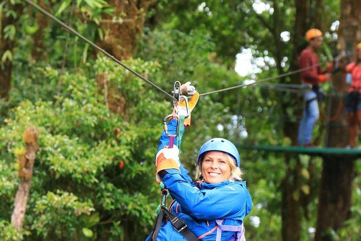 Canopy Zipline & Butterflies From Monteverde