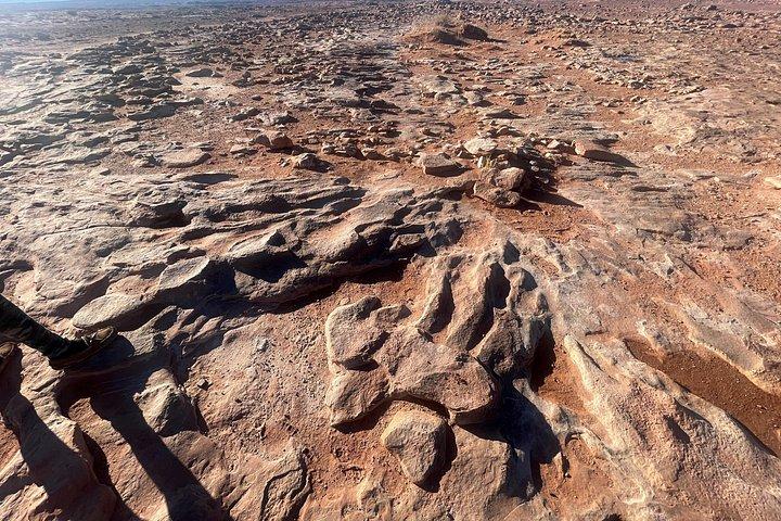 グランドキャニオン・サウスリム、アンテロープキャニオン、ホースシューベンドツアー