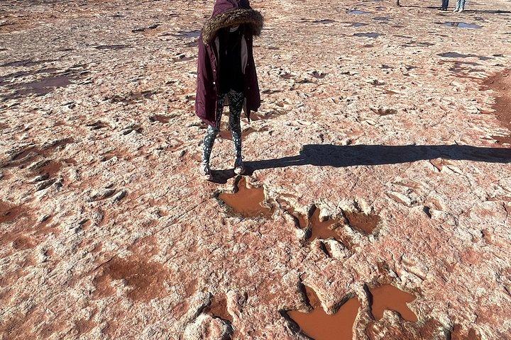 グランドキャニオン・サウスリム、アンテロープキャニオン、ホースシューベンドツアー