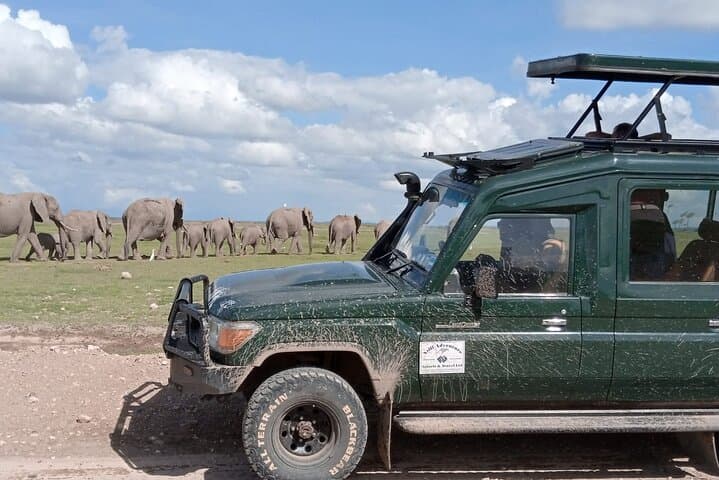 6 Days Amboseli,Lake Naivasha and Masai Mara Safari