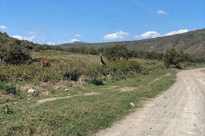 7 días de tour privado en jeep safari en alojamientos de 5 estrellas desde Nairobi