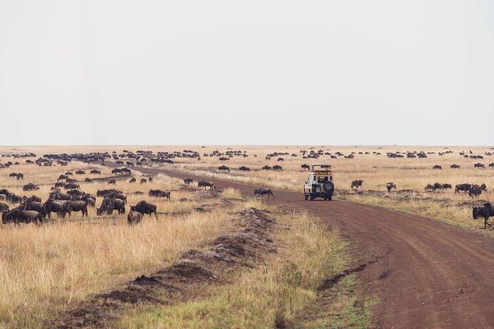 7 días de tour privado en jeep safari en alojamientos de 5 estrellas desde Nairobi