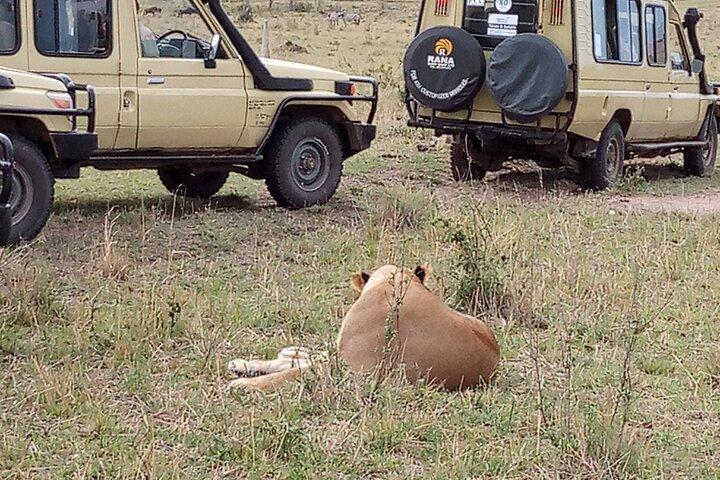 7 días de tour privado en jeep safari en alojamientos de 5 estrellas desde Nairobi
