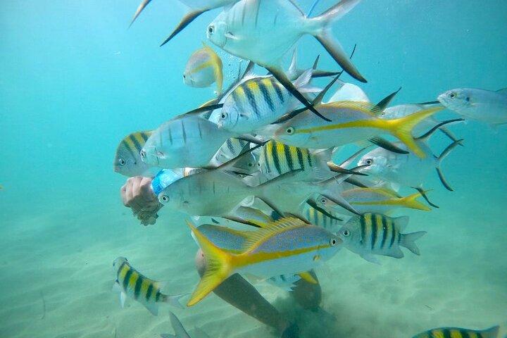 Aventura de snorkel en San Juan