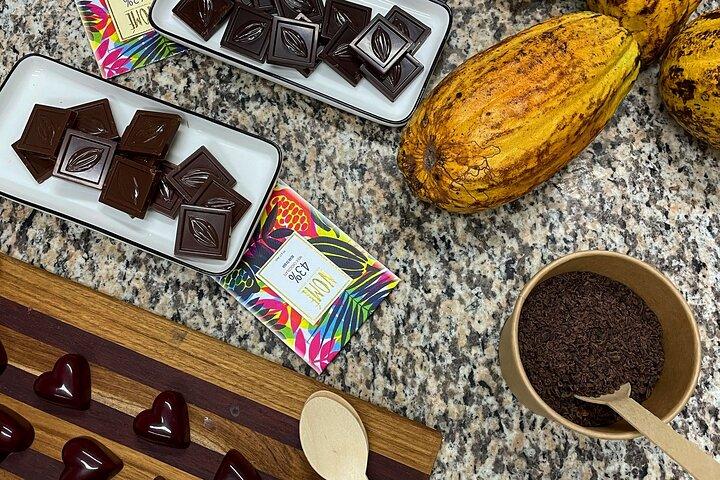 Lær om Panama kakao og lav din egen chokoladebar