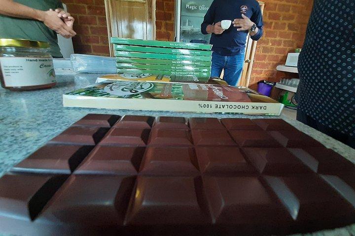 Halvdags chokolade workshop - Cacao Farm
