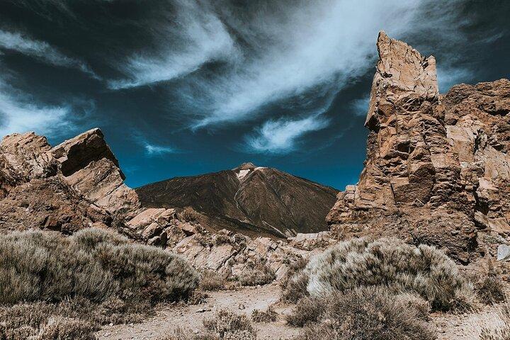 Excursion d'une journée complète avec guide certifié à Tenerife