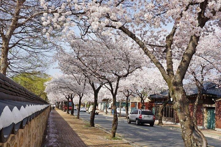 2-Day PRIVATE Gyeongju UNESCO Customized tour
