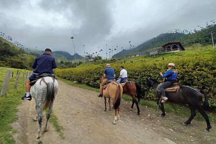 ビューポイント 1 とココラ バレー川への乗馬