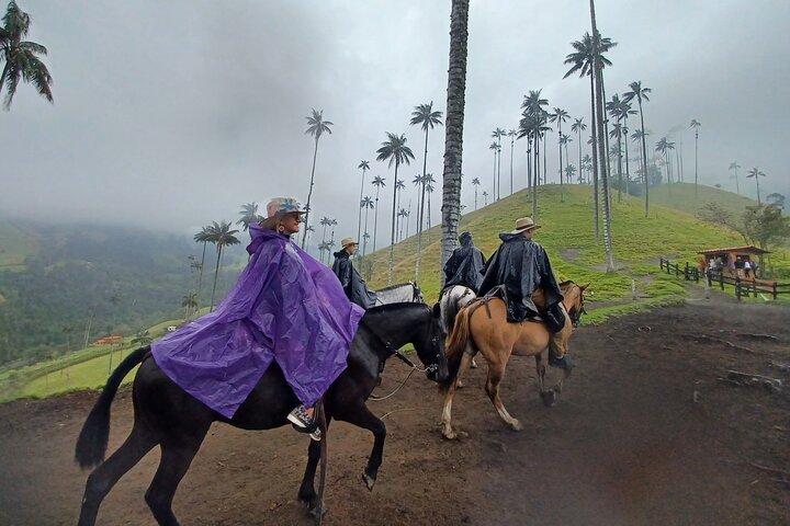 ビューポイント 1 とココラ バレー川への乗馬