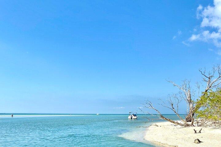 Halbtägige private Tiki Boat Beach Tour von Fort Myers