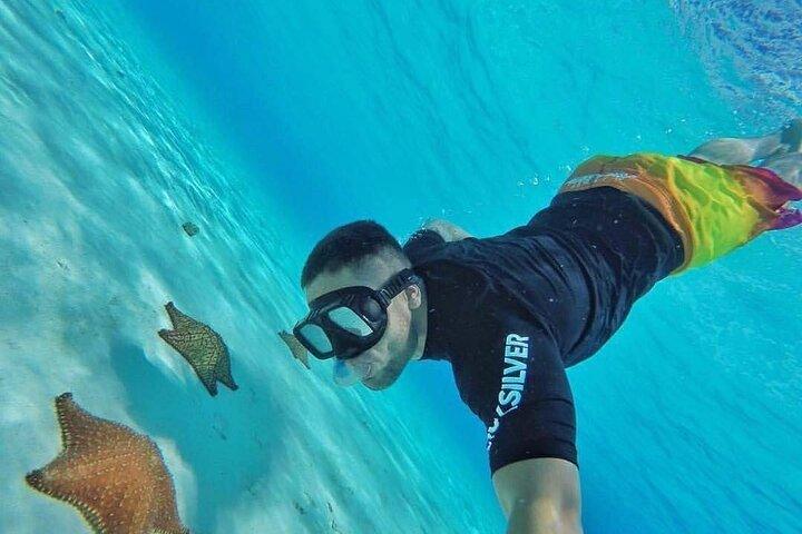 ¡Experiencia de snorkel en Cozumel! El Cielo Reef desde Cancún