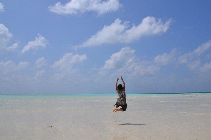 Holbox Tour from Cancún with Punta Mosquito & Lunch