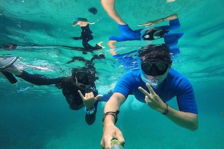 Full Day Pinzon Island, Terminando en la Fe con Snorkeling y Almuerzo incluido