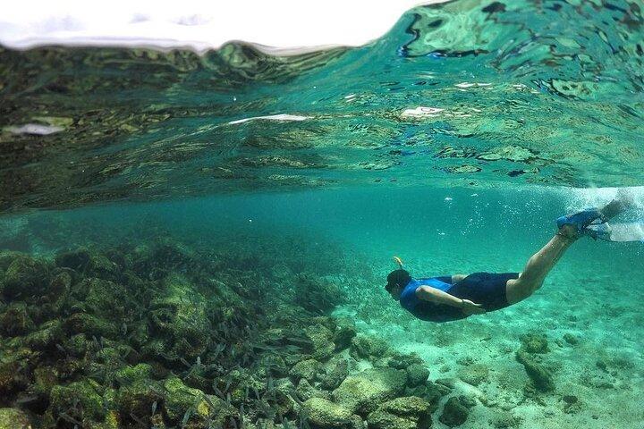 Full Day Pinzon Island, Terminando en la Fe con Snorkeling y Almuerzo incluido