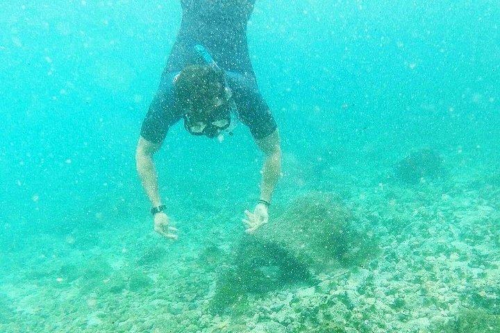 3 Days Galapagos Fast Visit