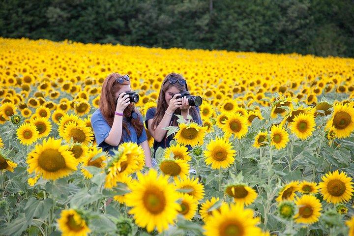Half-Day Private Photography Experience in Orvieto
