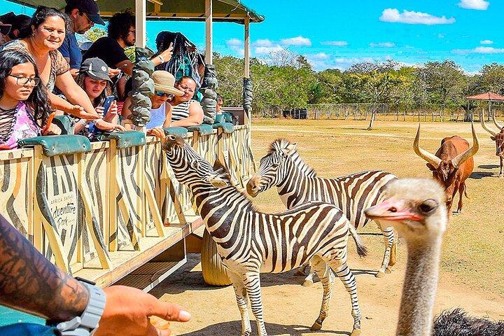 Dagpas voor Ponderosa Adventure Park