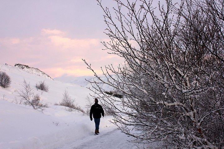 写真家を雇う、プロの写真撮影 - レイキャビク
