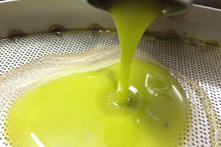 Experiencia y degustación de almazara de aceite de oliva en Salento con guía