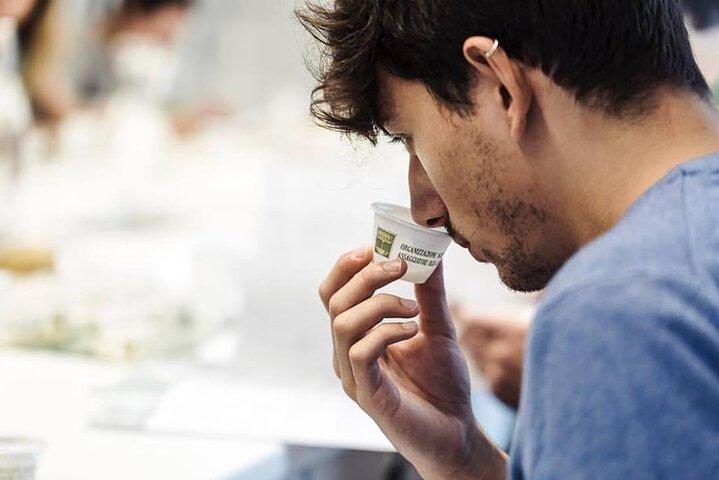 Experiencia y degustación de almazara de aceite de oliva en Salento con guía