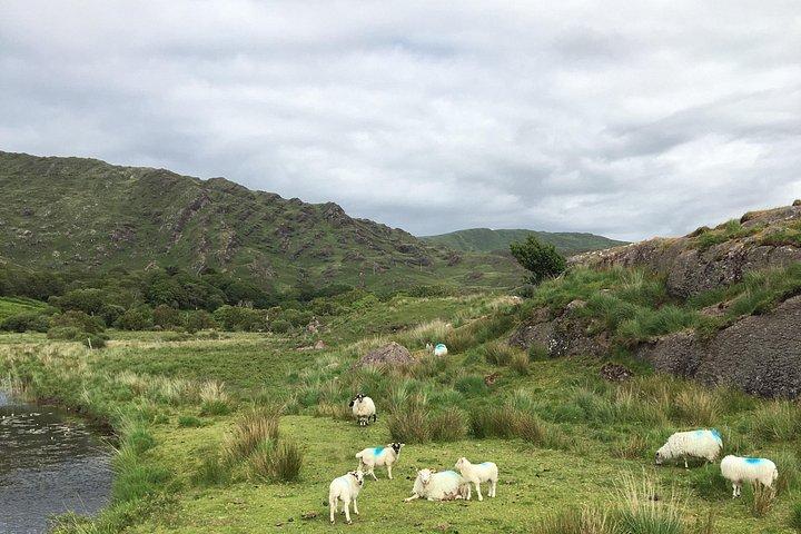 Private Tour of Beara Peninsula