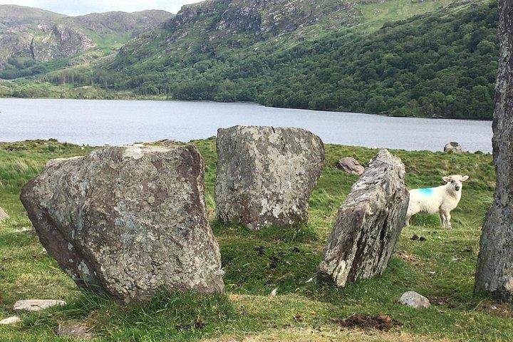 Private Tour of Beara Peninsula