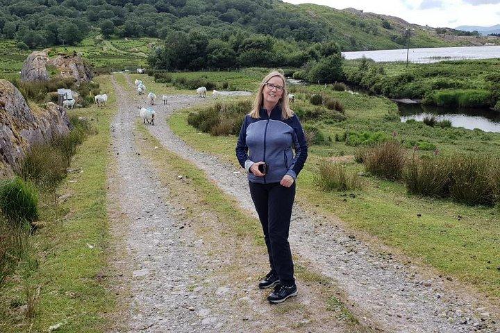 Private Tour of Beara Peninsula