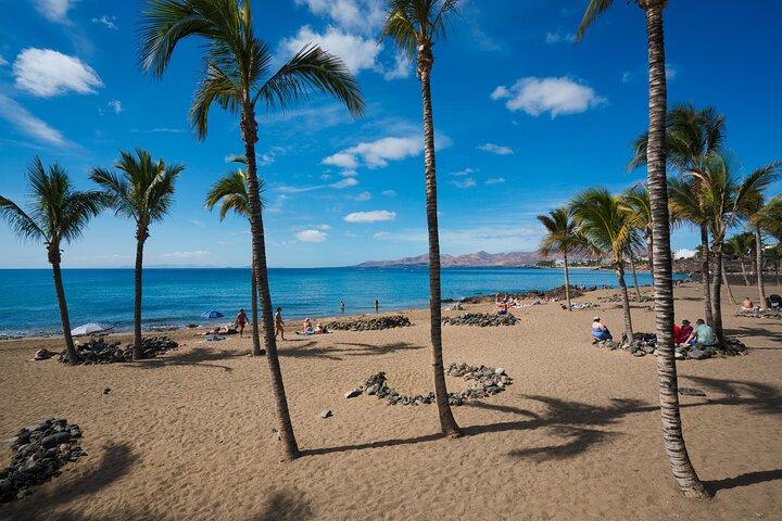 Von Tamarindo zum Flughafen San Jose, Shuttle-Service