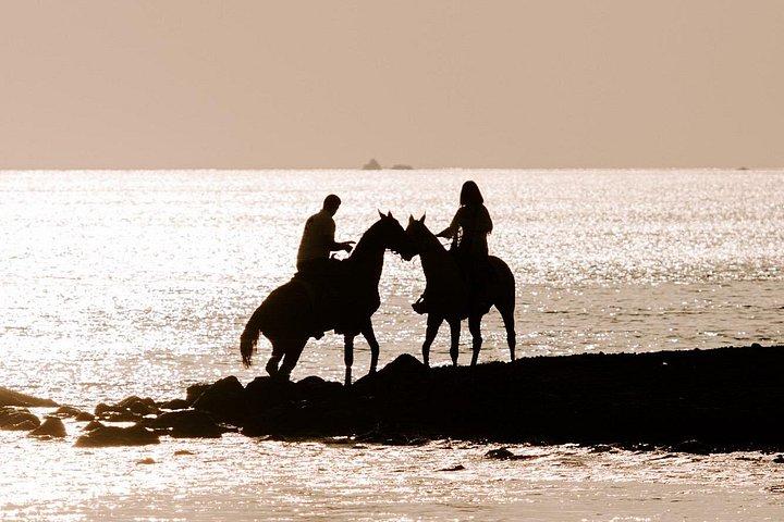 サントリーニ島でのプライベート乗馬体験