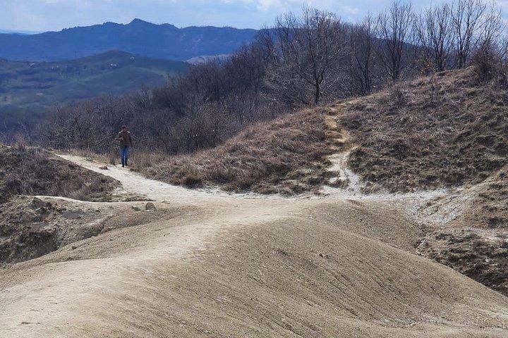 ブカレストから塩鉱山と泥火山へのプライベート日帰り旅行