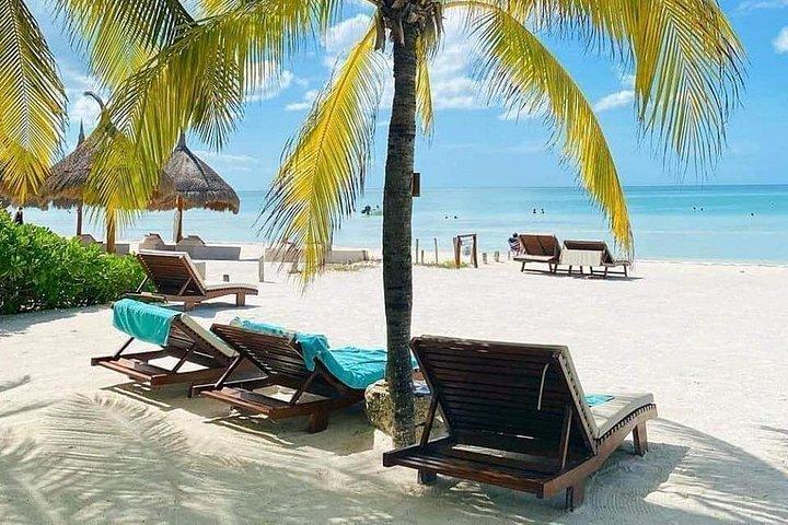 Holbox Tour from Cancún with Punta Mosquito & Lunch