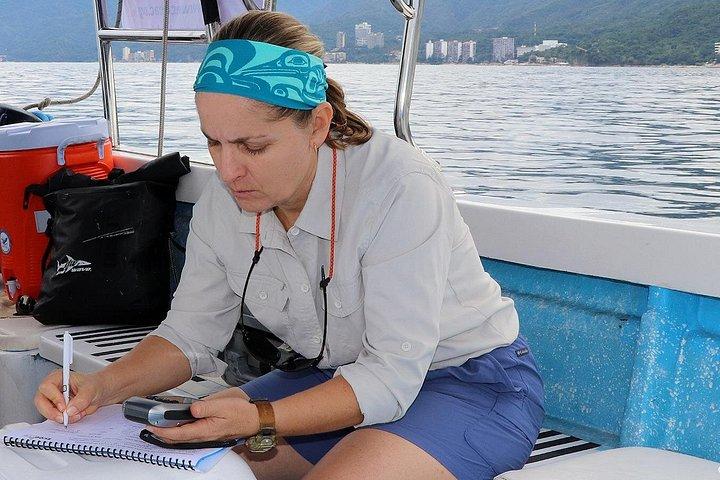 海洋生物学者とのホエールウォッチングアドベンチャー
